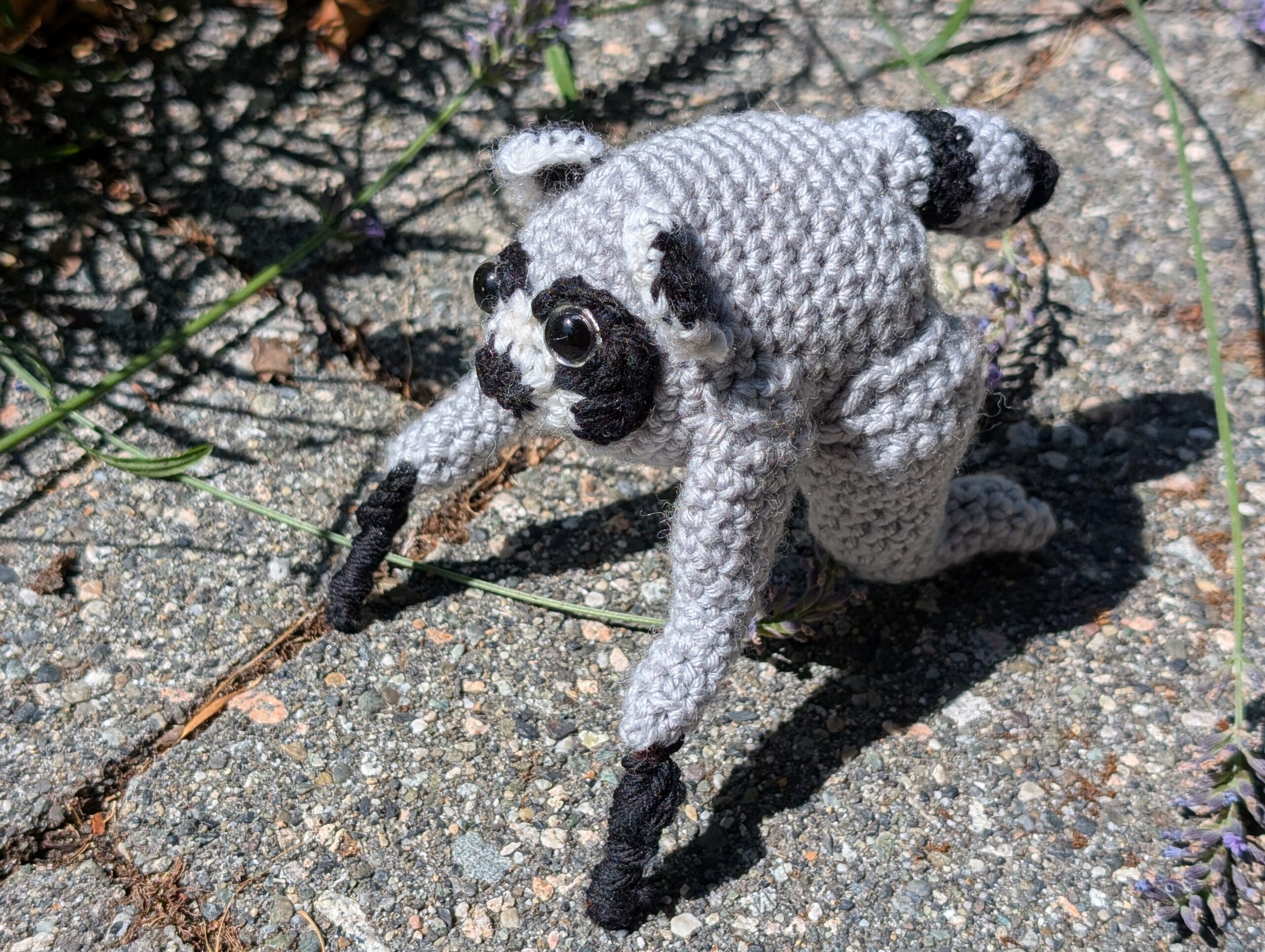 Pocket Jimothy - Image 4
