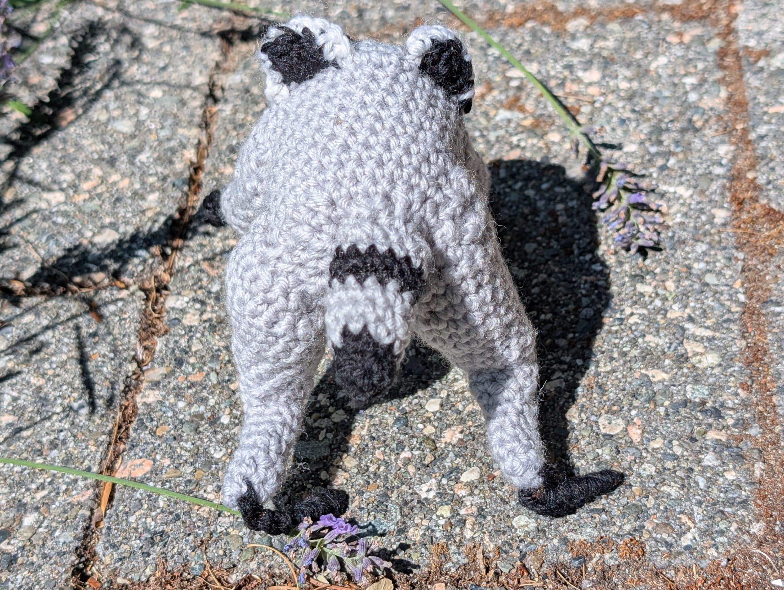 Pocket Jimothy - Image 3